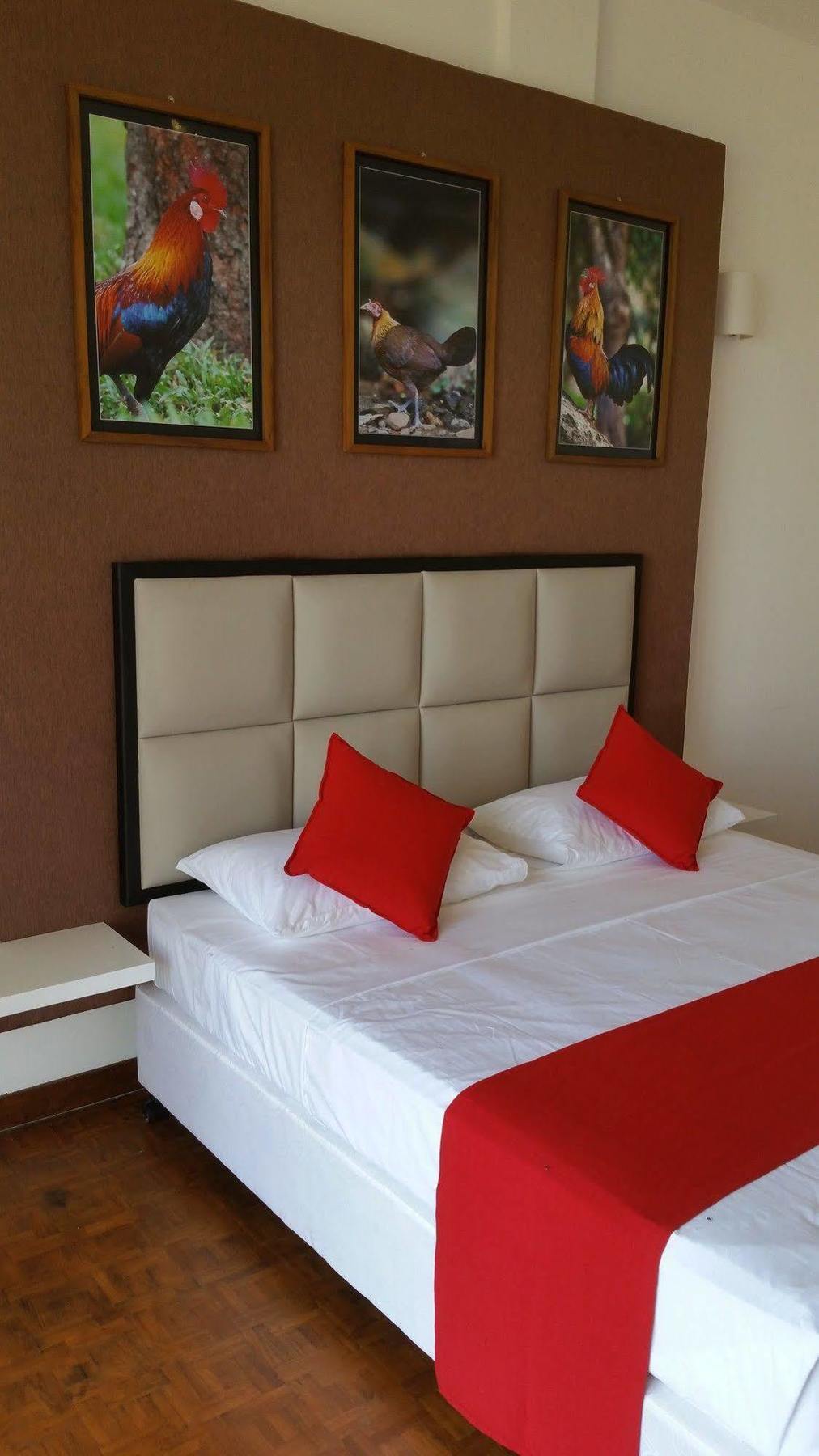 Jade Green Hotel 함반토타 외부 사진